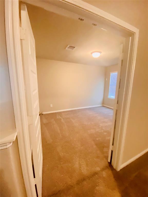 21611 Blue Sapphire Court, Richmond, Texas image 23
