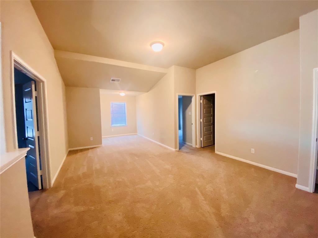21611 Blue Sapphire Court, Richmond, Texas image 22