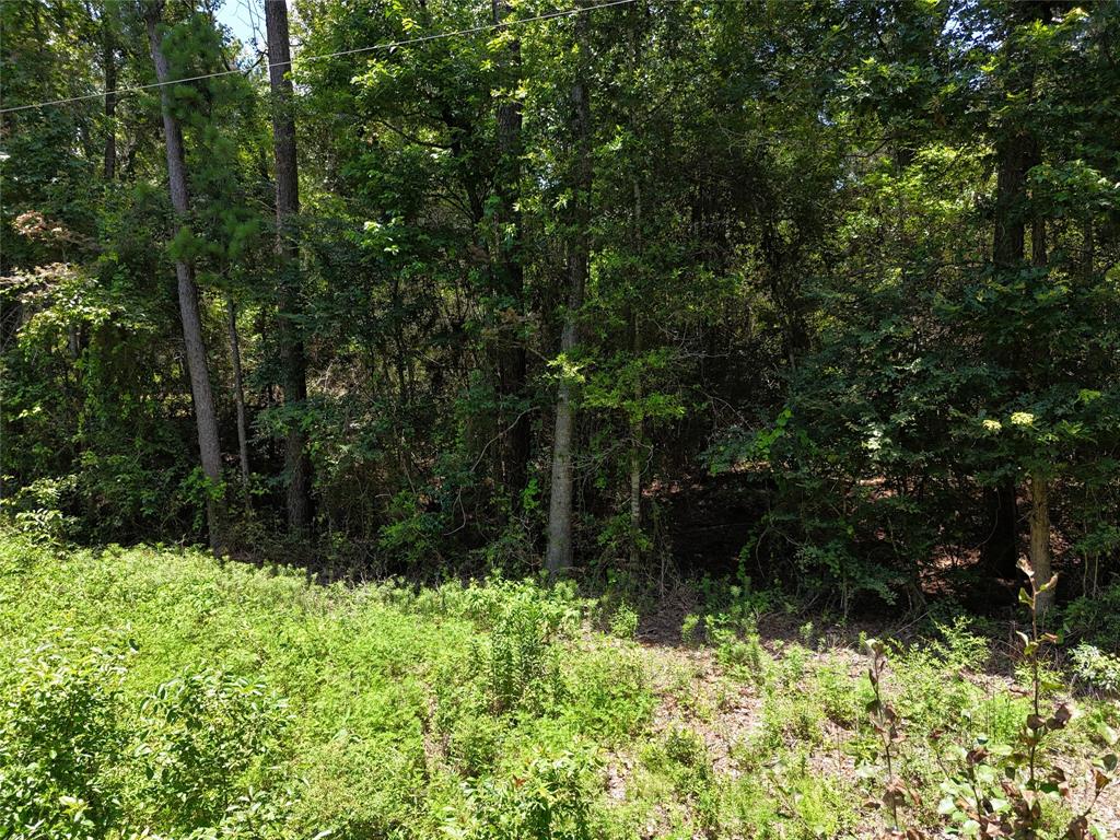 TBD Roger Miller Road, Livingston, Texas image 10