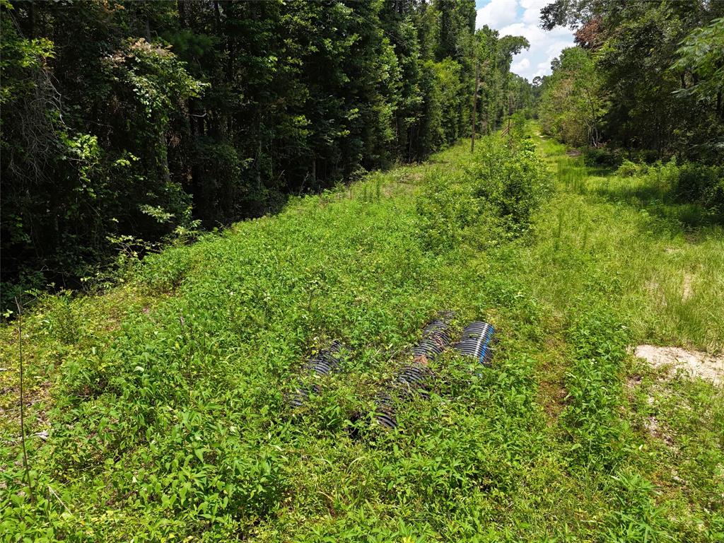 TBD Roger Miller Road, Livingston, Texas image 9