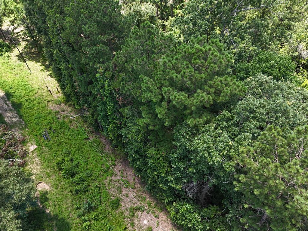 TBD Roger Miller Road, Livingston, Texas image 7
