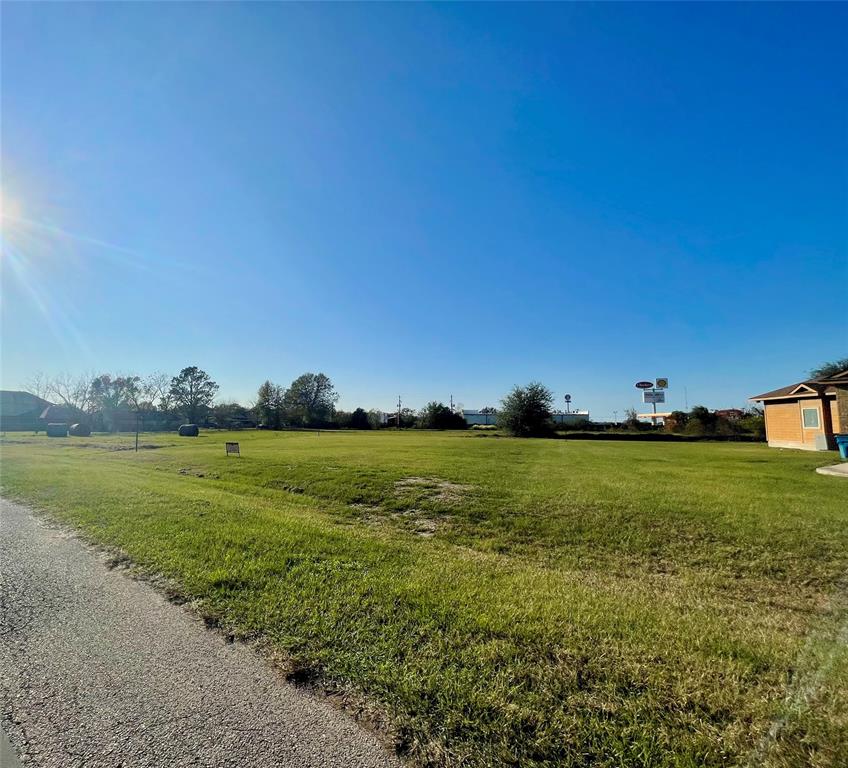 125 Colonial Drive, Prairie View, Texas image 8