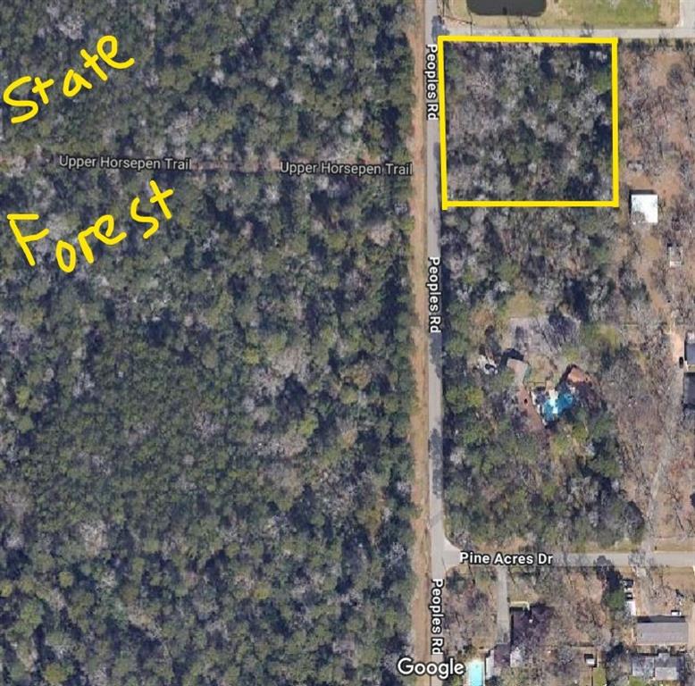 16285 Peoples Road Road, Conroe, Texas image 3
