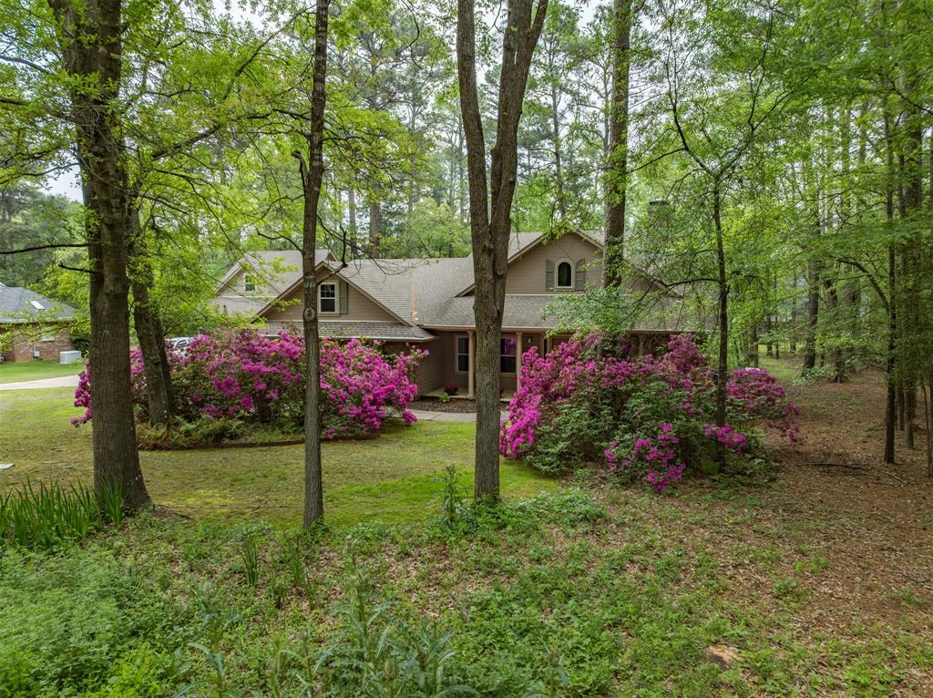 17889 Cr 134, Flint, Texas image 1