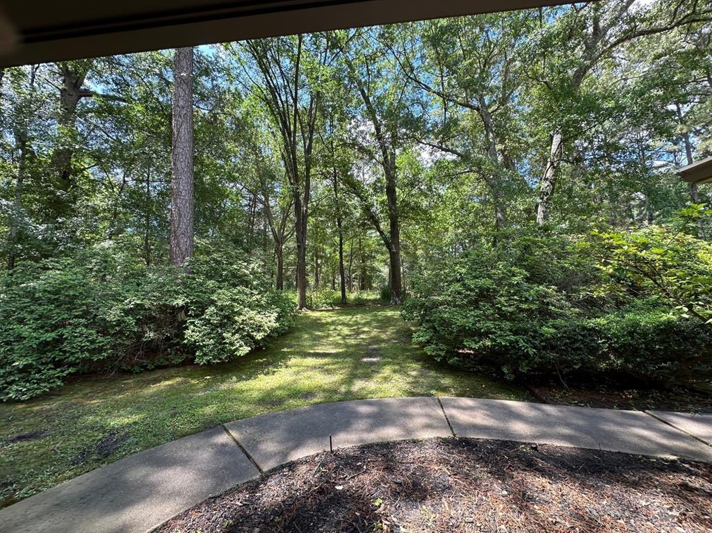 17889 Cr 134, Flint, Texas image 46
