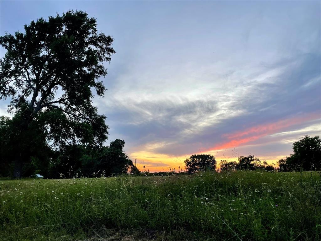 Fawn Road, Brenham, Texas image 10