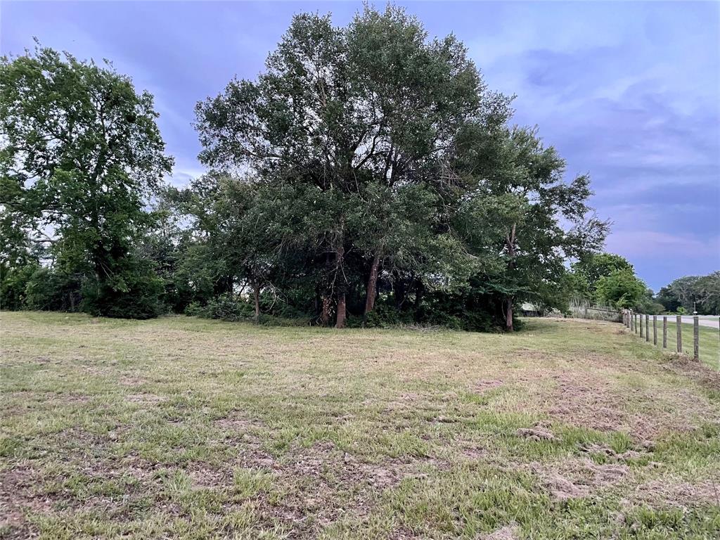 Fawn Road, Brenham, Texas image 3