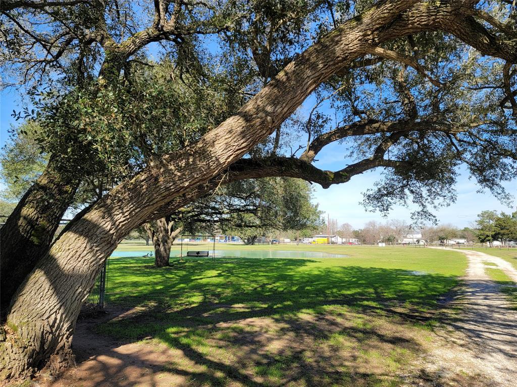 28302 Piney Corners, Waller, Texas image 21