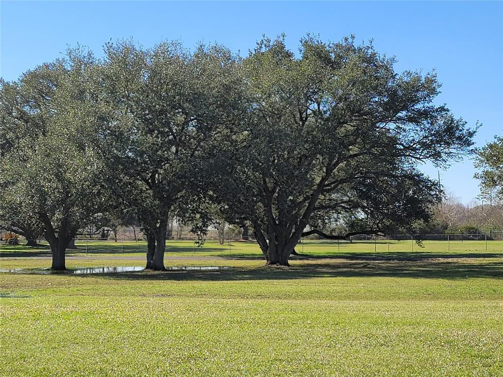 28302 Piney Corners, Waller, Texas image 11