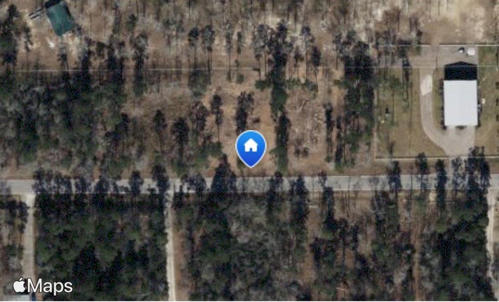 524 Echo Lane Ln, Houston, Texas image 4