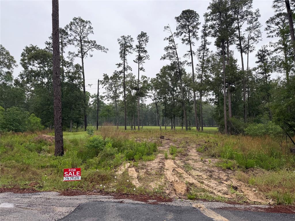 524 Echo Lane Ln, Houston, Texas image 3