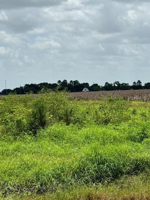 5225 Fenske Lane, Needville, Texas image 4