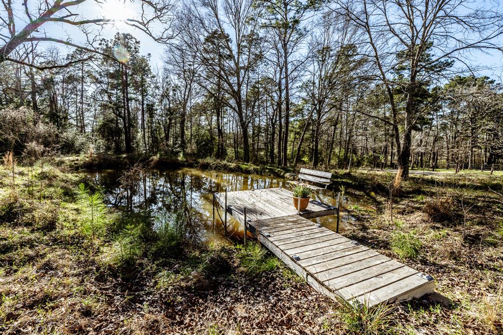 132 Pinewood Lane, Huntsville, Texas image 41