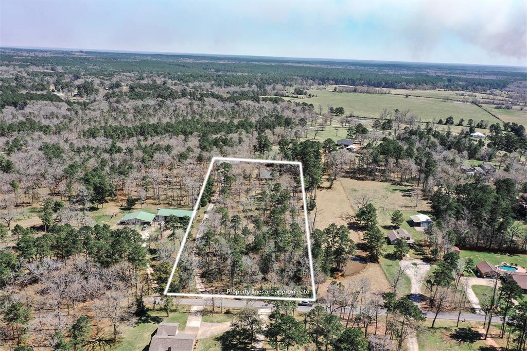 132 Pinewood Lane, Huntsville, Texas image 43
