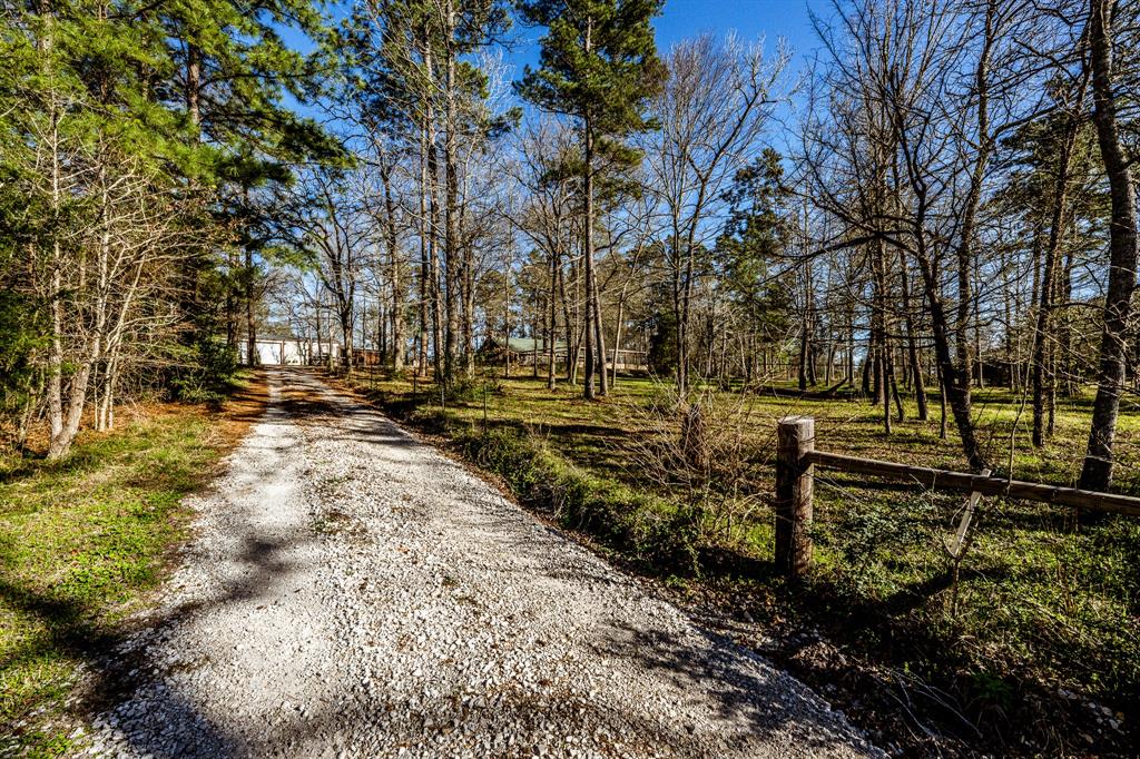 132 Pinewood Lane, Huntsville, Texas image 42