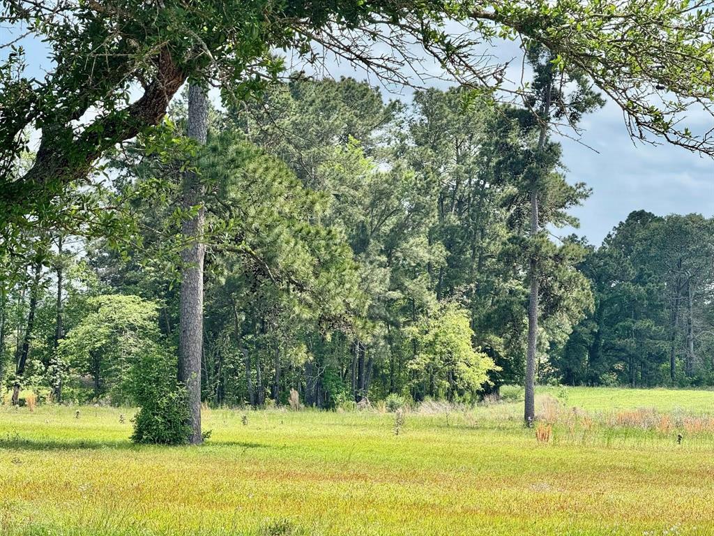 TBD Lakeland Lot 64 Drive, Hillister, Texas image 13