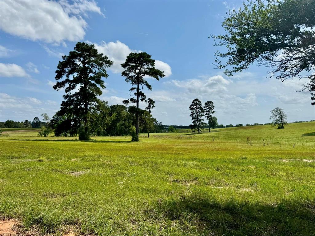 TBD Lakeland Lot 64 Drive, Hillister, Texas image 9