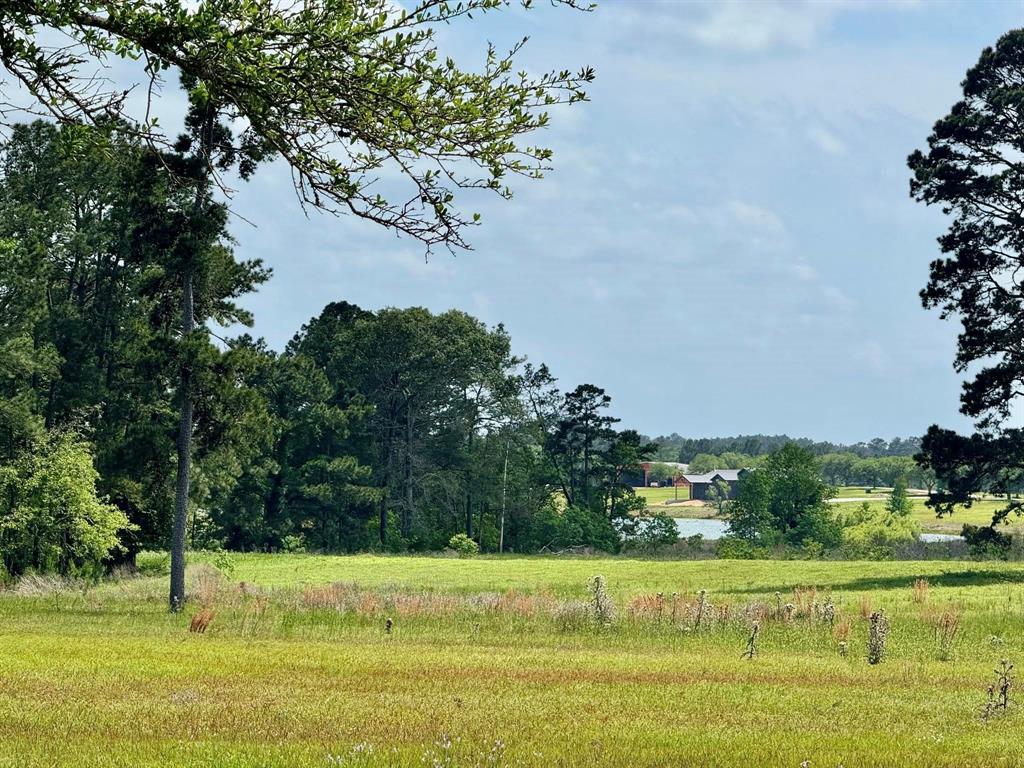 TBD Lakeland Lot 64 Drive, Hillister, Texas image 10