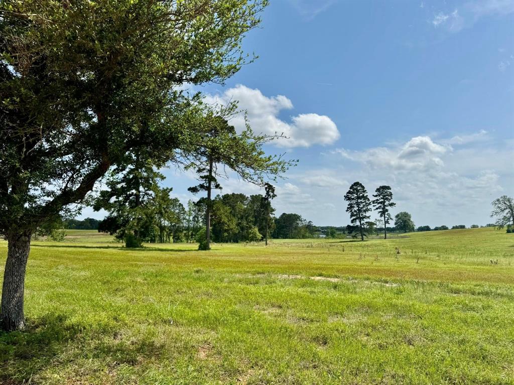TBD Lakeland Lot 64 Drive, Hillister, Texas image 12