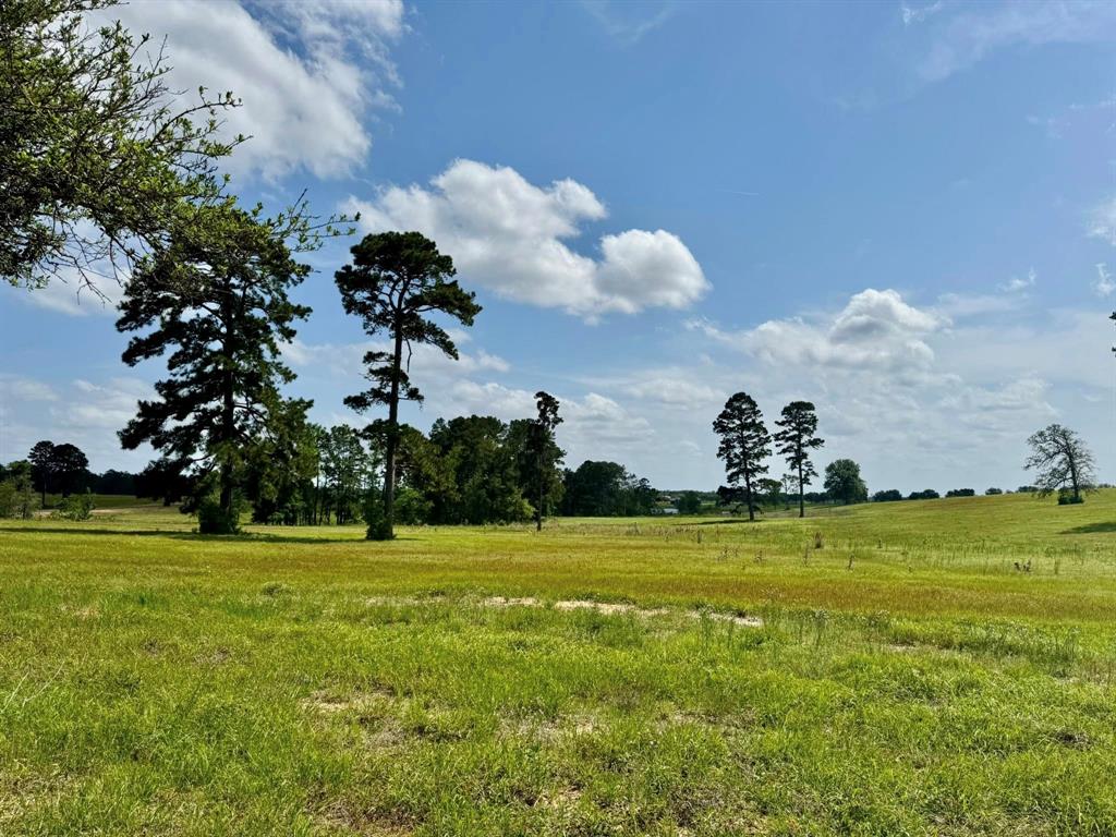 TBD Lakeland Lot 64 Drive, Hillister, Texas image 8