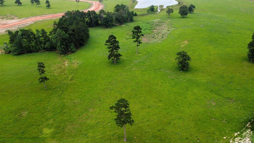 TBD Lakeland Lot 64 Drive, Hillister, Texas image 7