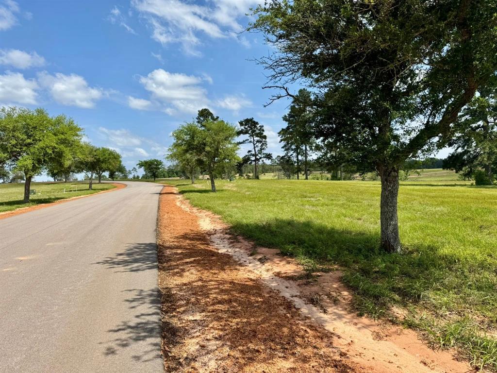 TBD Lakeland Lot 64 Drive, Hillister, Texas image 14