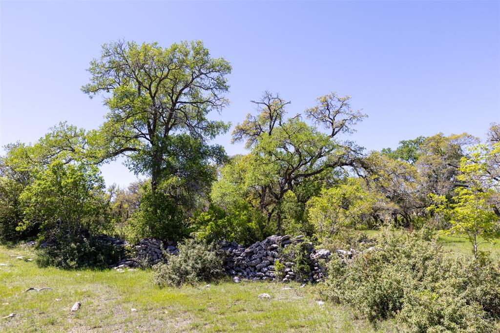 TBD Walker Ranch Road, Dripping Springs, Texas image 19