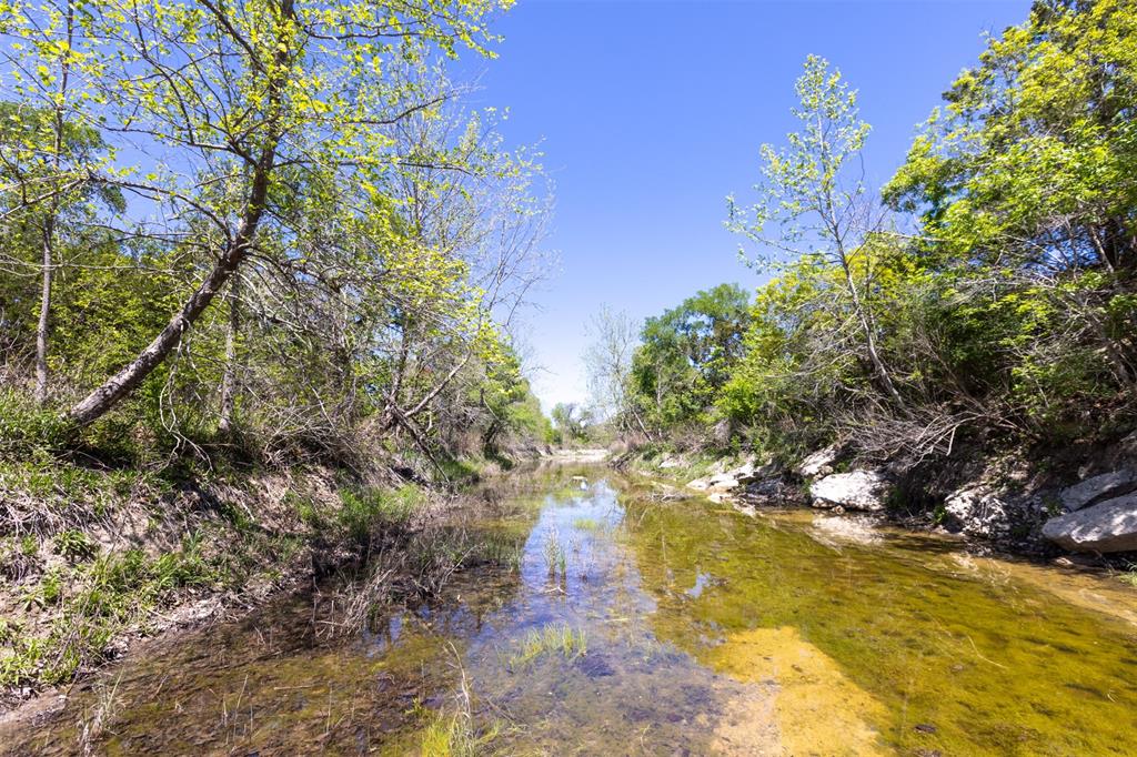 TBD Walker Ranch Road, Dripping Springs, Texas image 5