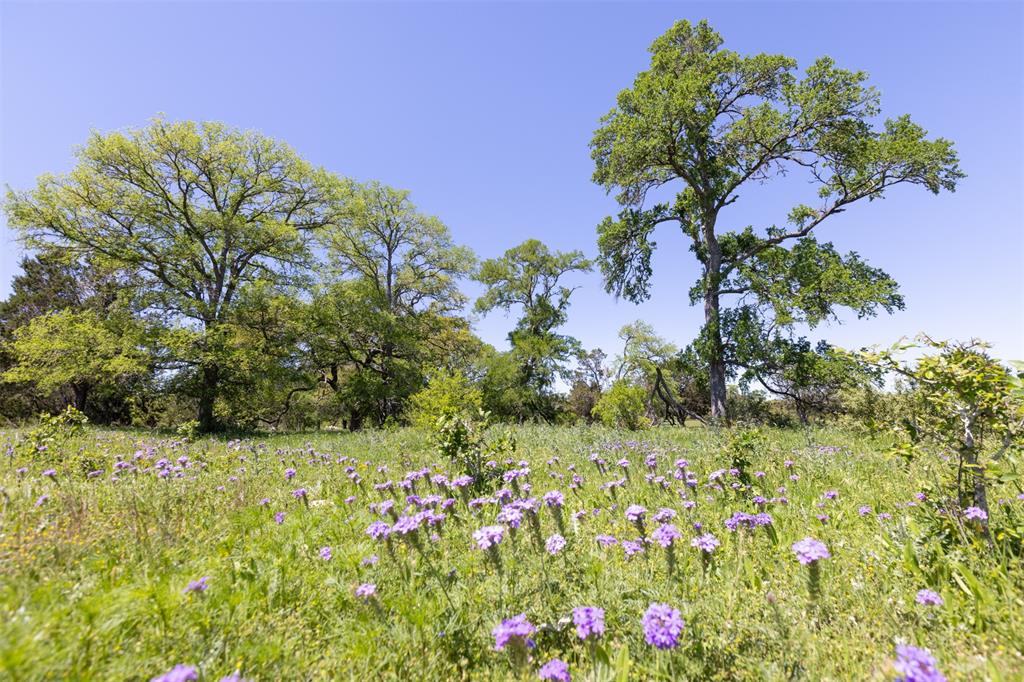 TBD Walker Ranch Road, Dripping Springs, Texas image 17