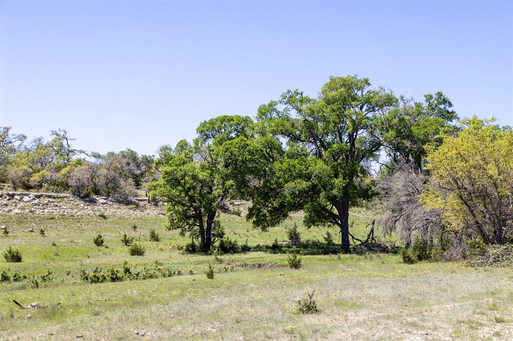 TBD Walker Ranch Road, Dripping Springs, Texas image 22