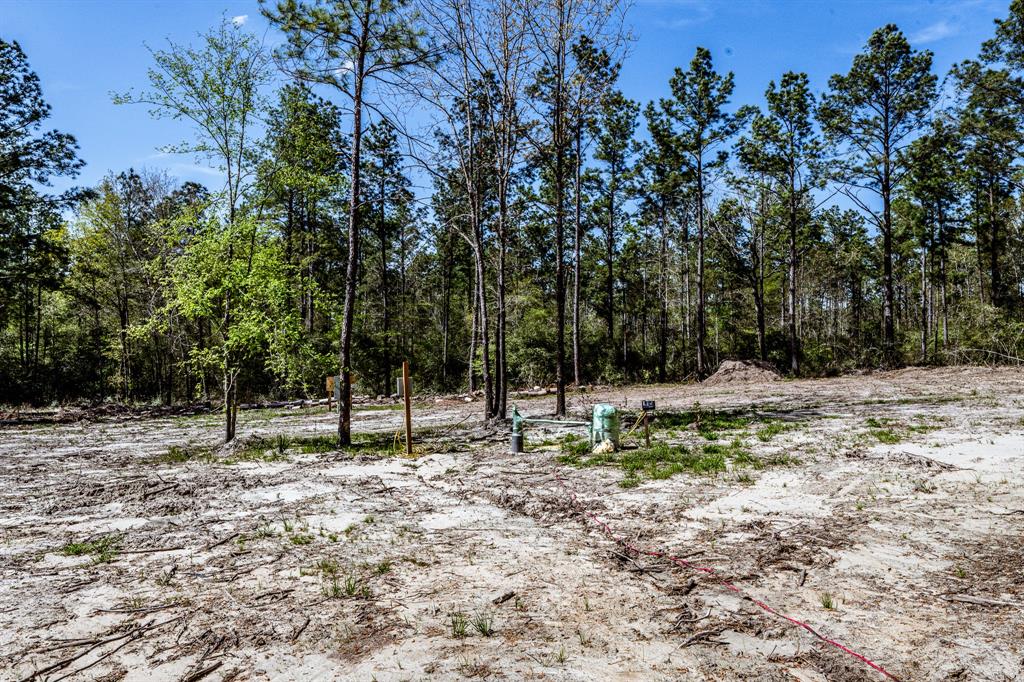 950 Private Road 8160, Lovelady, Texas image 5