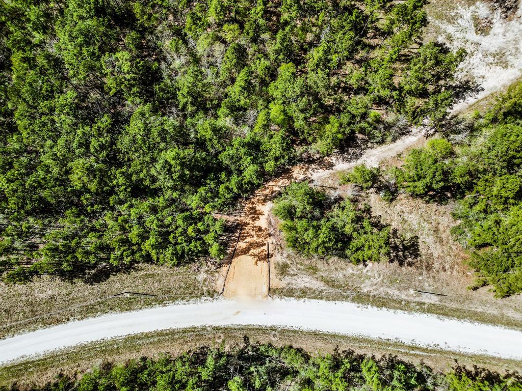 950 Private Road 8160, Lovelady, Texas image 2