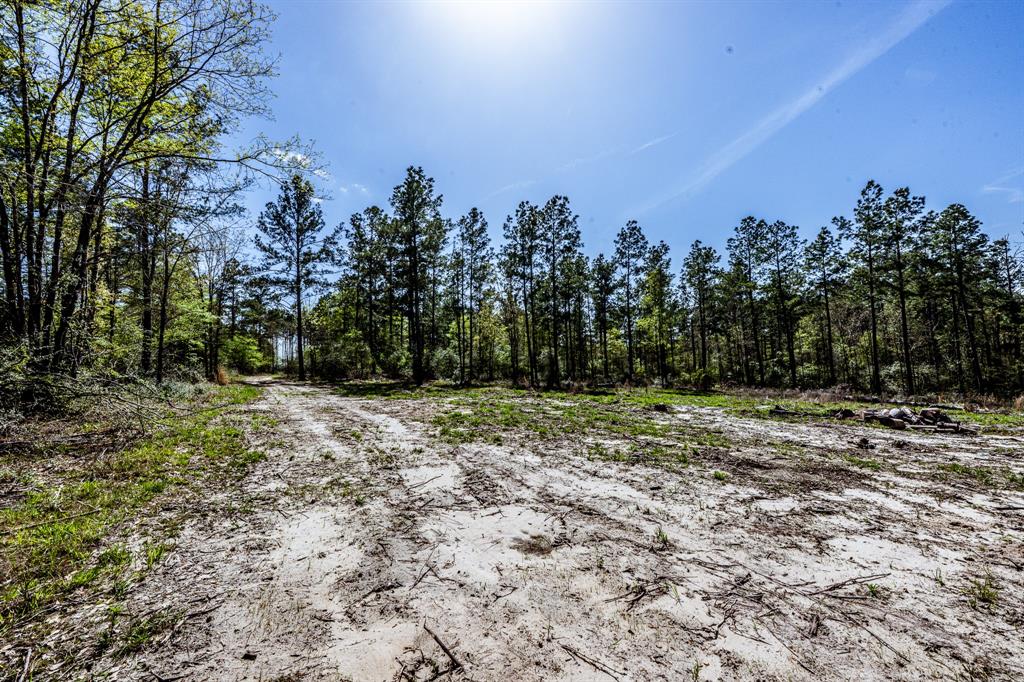 950 Private Road 8160, Lovelady, Texas image 9