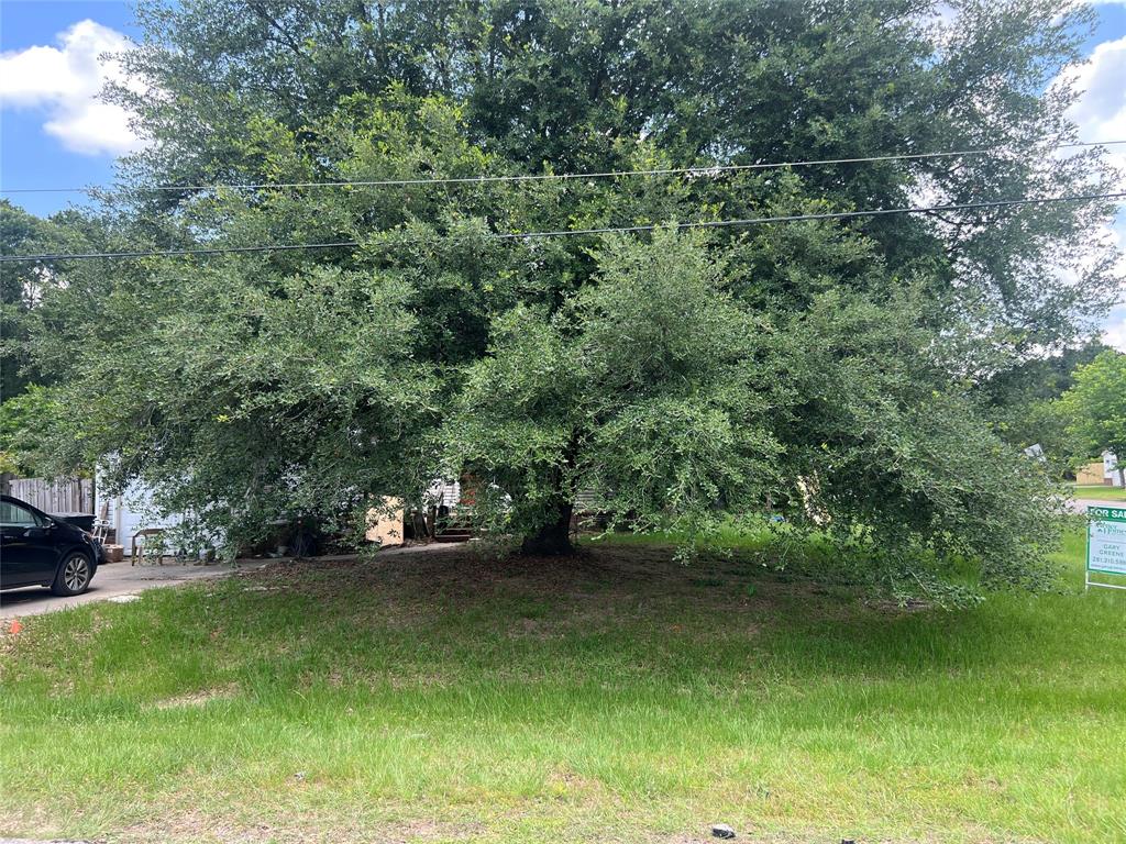 16241 Sunny Morning Court, Conroe, Texas image 1