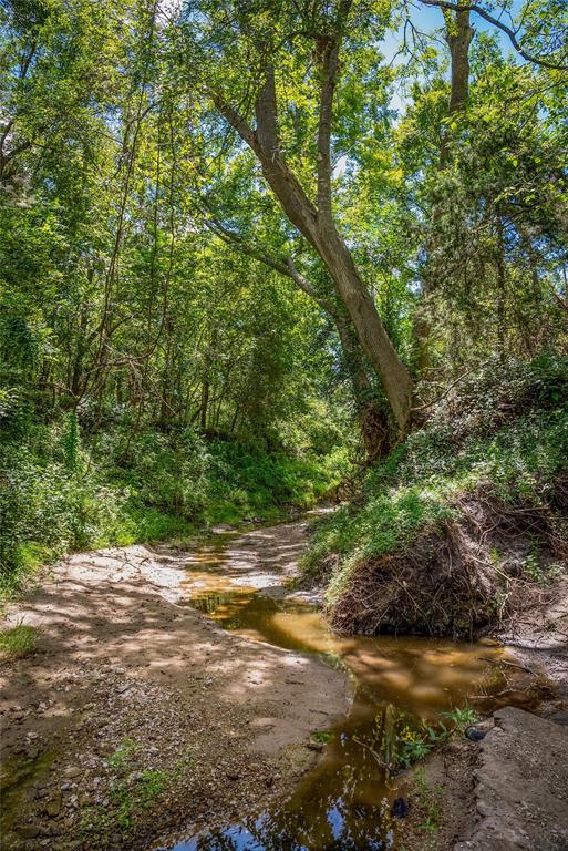 Cedar Hill Road, Brenham, Texas image 14
