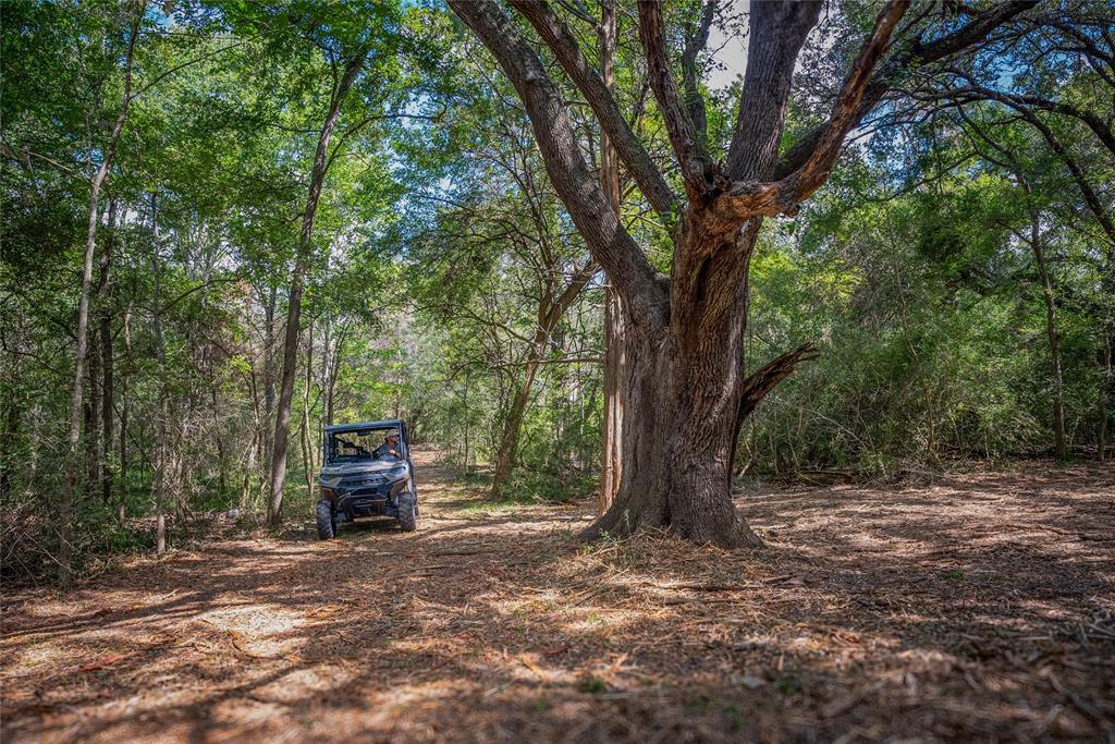 Cedar Hill Road, Brenham, Texas image 10
