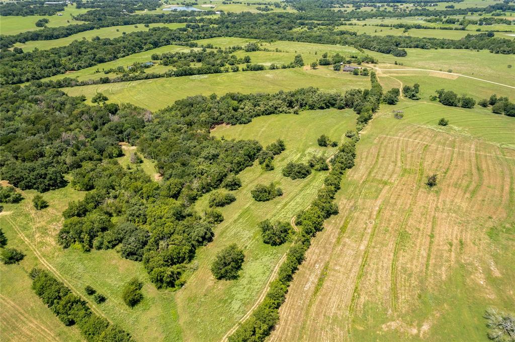 Cedar Hill Road, Brenham, Texas image 8