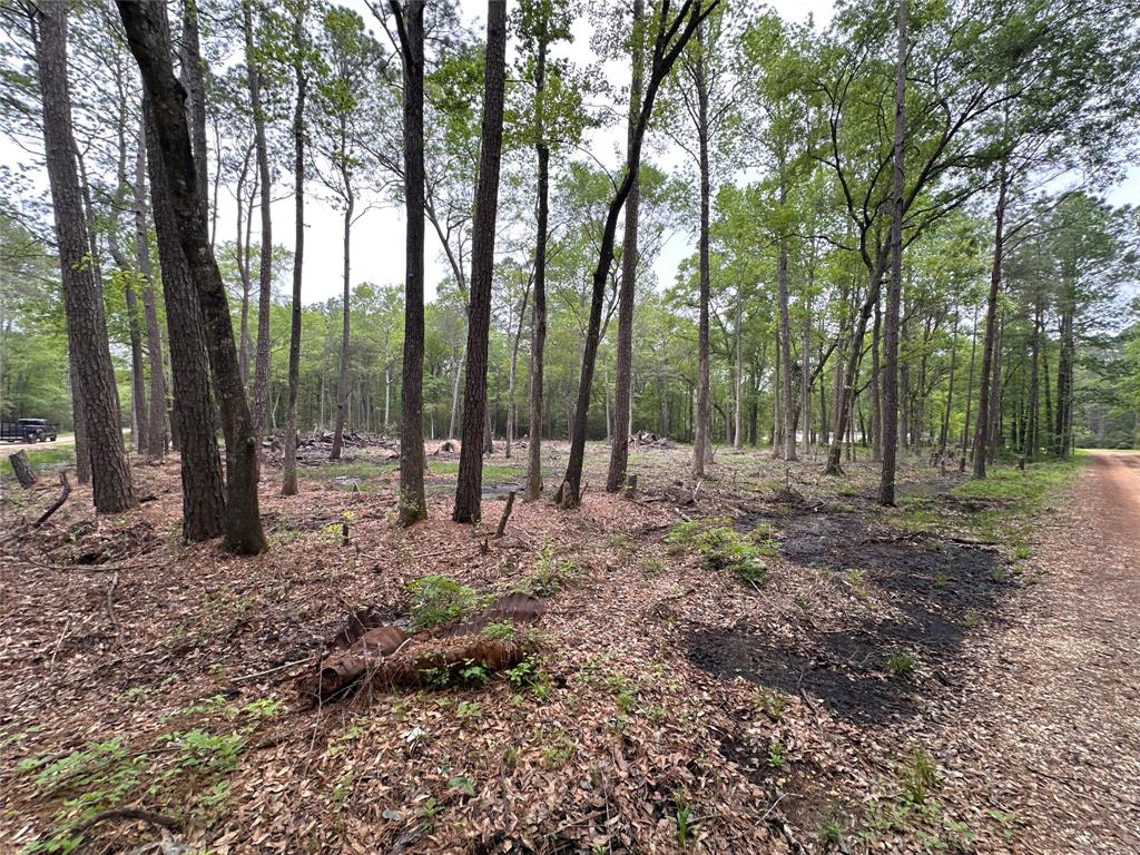 Lot 10 Largent Drive, Plantersville, Texas image 3