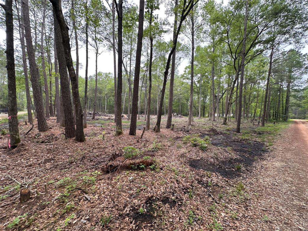 Lot 10 Largent Drive, Plantersville, Texas image 4
