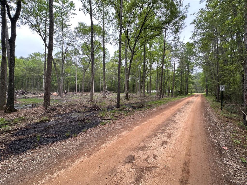Lot 10 Largent Drive, Plantersville, Texas image 6