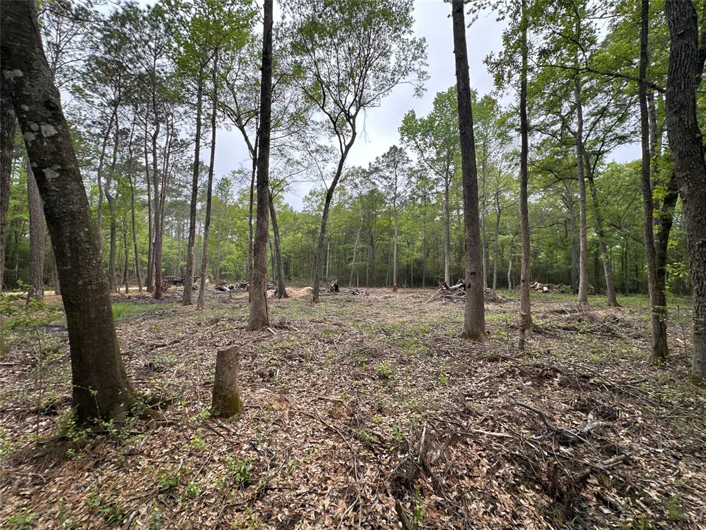 Lot 10 Largent Drive, Plantersville, Texas image 2