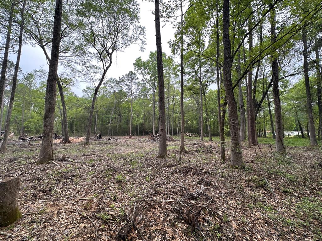 Lot 10 Largent Drive, Plantersville, Texas image 1