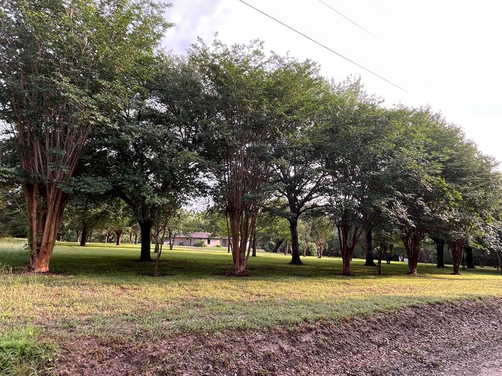 3706 County Road 409, Navasota, Texas image 49