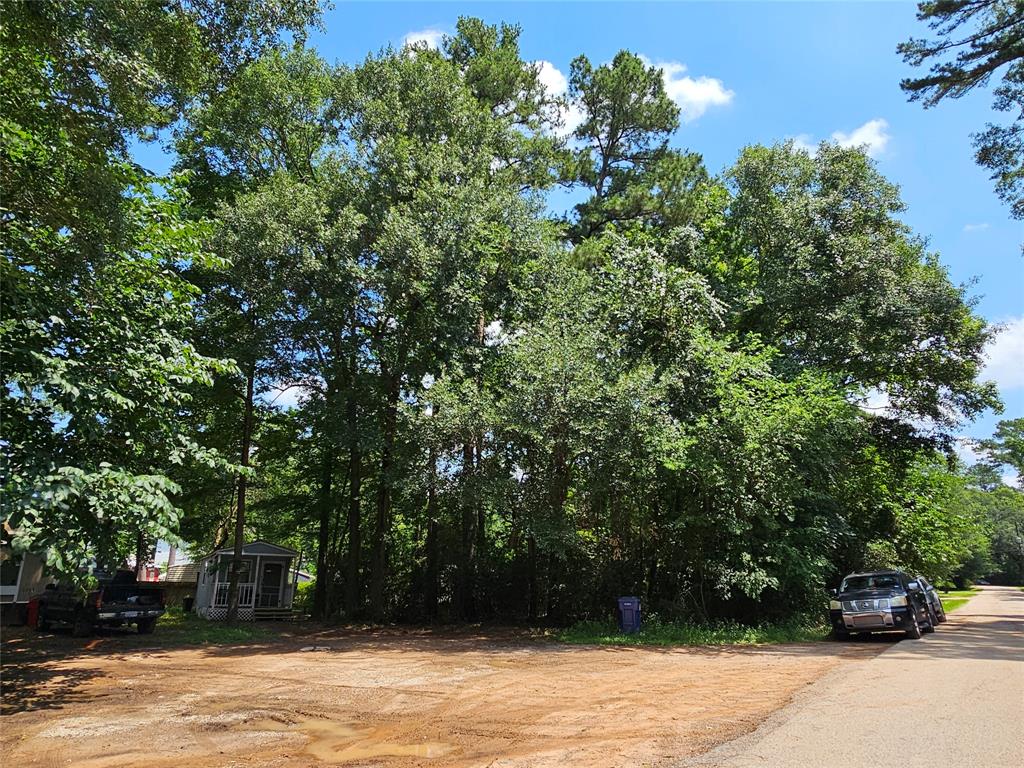Lot 60 & 61 Arbor Oak Drive, Willis, Texas image 8