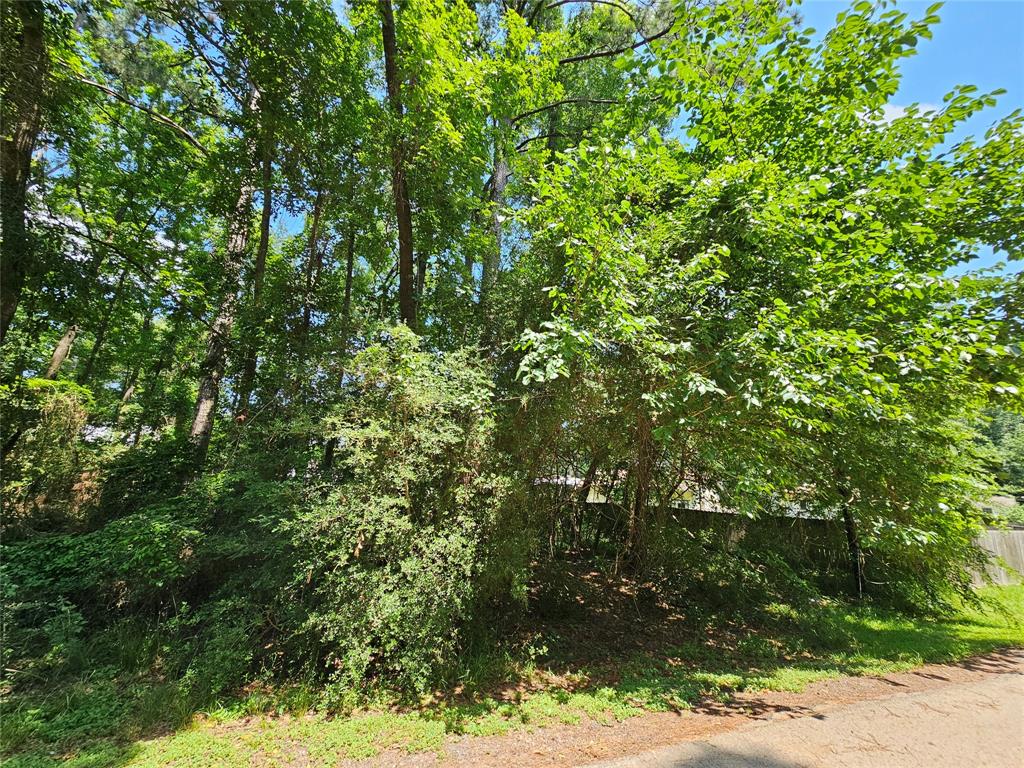Lot 60 & 61 Arbor Oak Drive, Willis, Texas image 11