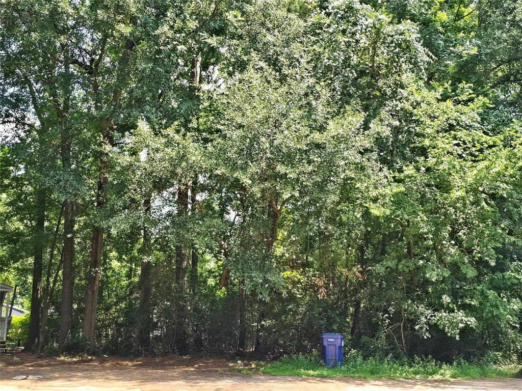 Lot 60 & 61 Arbor Oak Drive, Willis, Texas image 6