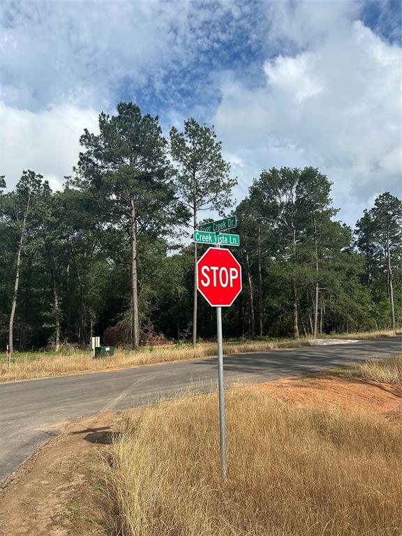 9510 River Creek Drive Dr, Willis, Texas image 3