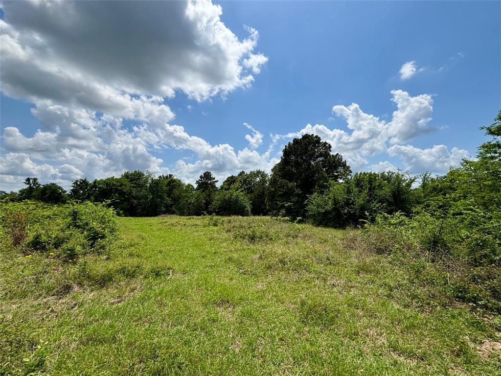 2077 County Road 408, Navasota, Texas image 23