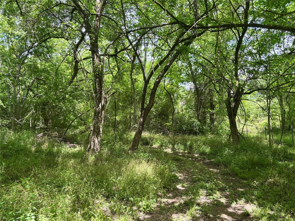 2077 County Road 408, Navasota, Texas image 29