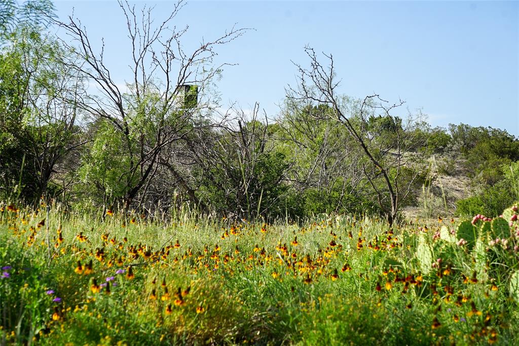 000 Rr 1024, Ozona, Texas image 35